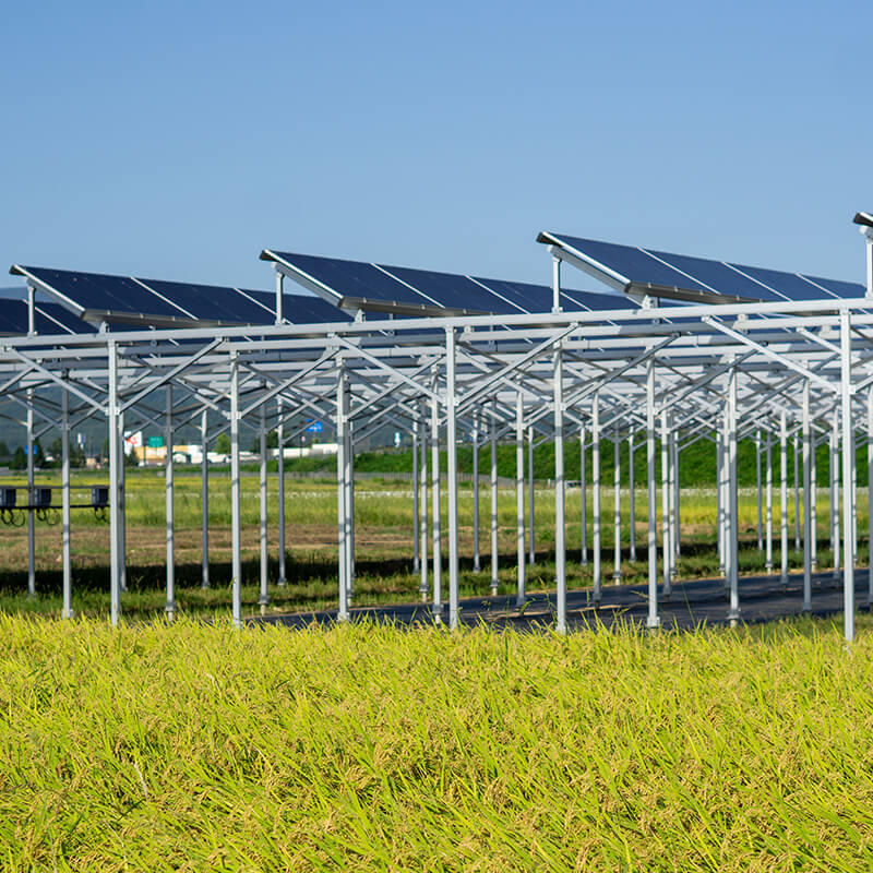 クイズで学ぼう！酒蔵と地のエネルギー